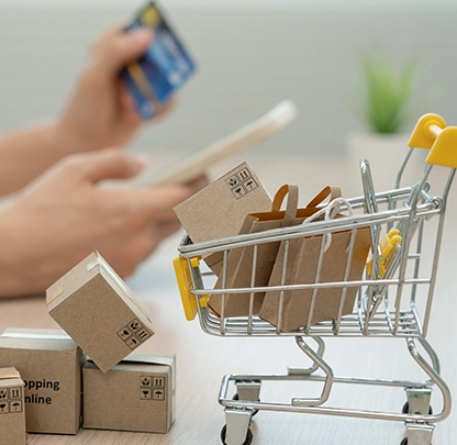 E-commerce & Quick Commerce Fulfillment